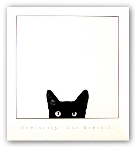 Amazon.com: Curiosity by Jon Bertelli Black Cat Art Print Poster